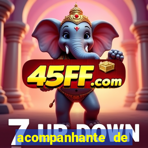 acompanhante de luxo zona norte